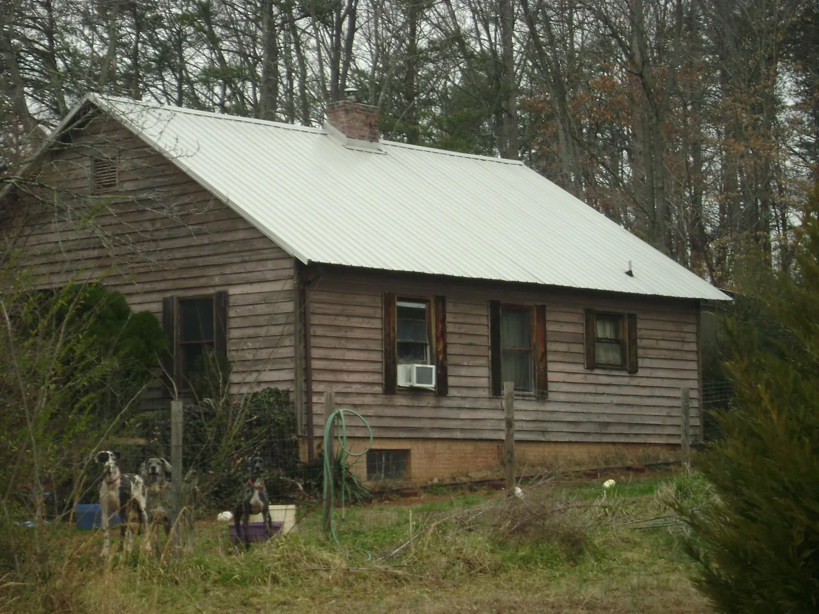 White metal roof on an old wood sided farmhouse, from a Asphalt Shingle Roof Repair job in Delphi